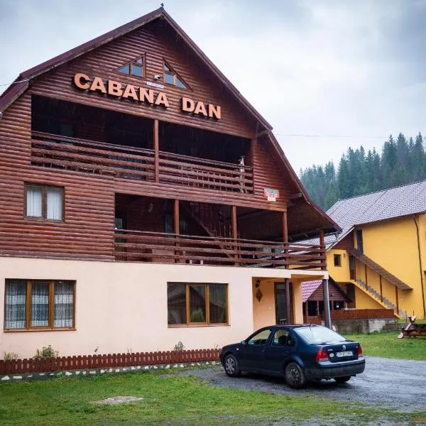 Cabana Dan Arieseni，位于阿列谢尼的酒店