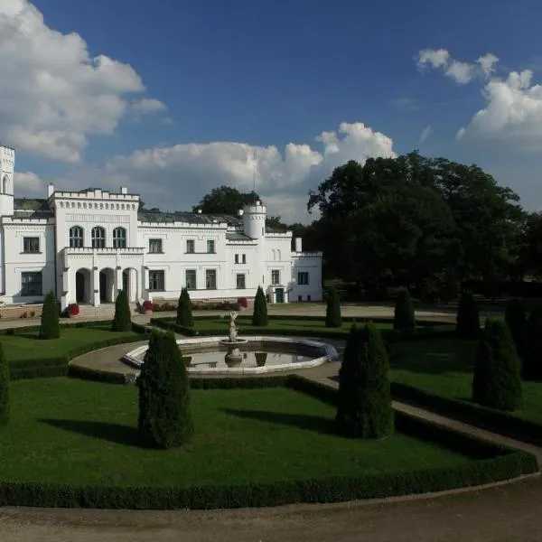 Pałac Będlewo，位于Strykowo的酒店