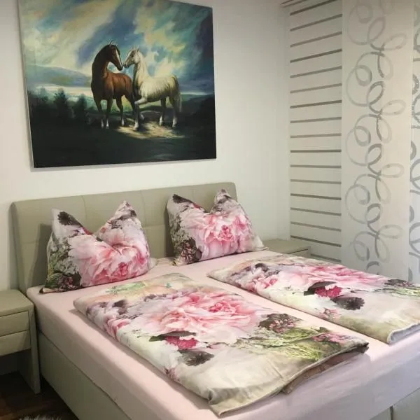 Apartment Elfi，位于莱布尼茨的酒店