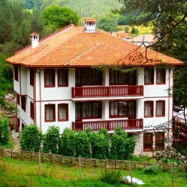 米特尼瑟和TKZS碧丽安特斯酒店，位于Plovdivtsi的酒店