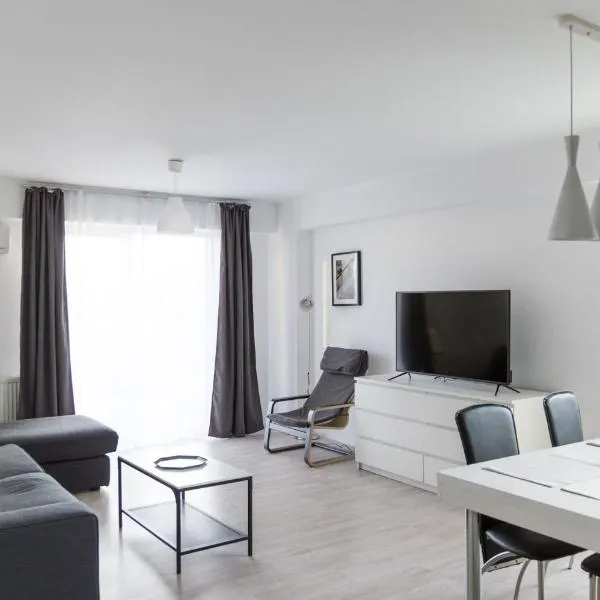 Airport Residence - Apartment across from Otopeni Airport，位于Dîrza的酒店
