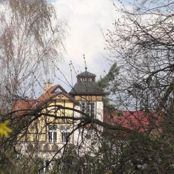Amálie Vila 1921 secesní nostalgie，位于Štěpánov的酒店