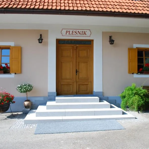 罗特维尼克农场酒店，位于Razborca的酒店