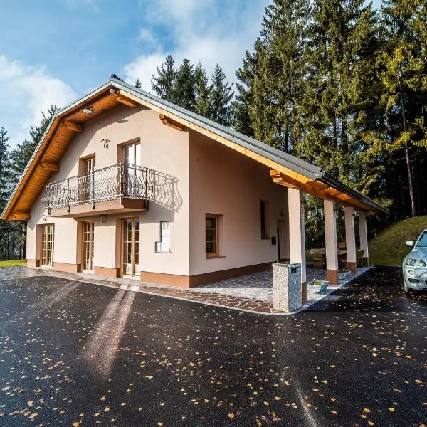 Holiday Home with Hot tub and Sauna Sabina，位于Šentjošt nad Horjulom的酒店