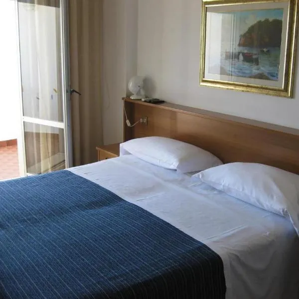 圣多米尼克酒店，位于圣安德雷亚阿波斯托洛德洛约尼奥的酒店