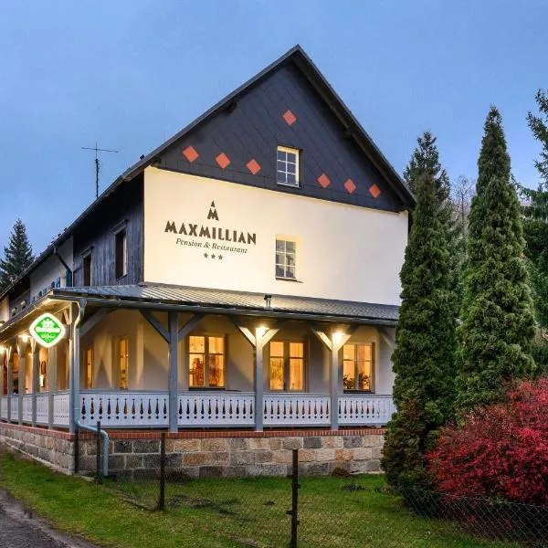 MAXMILLIAN Pension & Restaurant，位于Cvikov的酒店