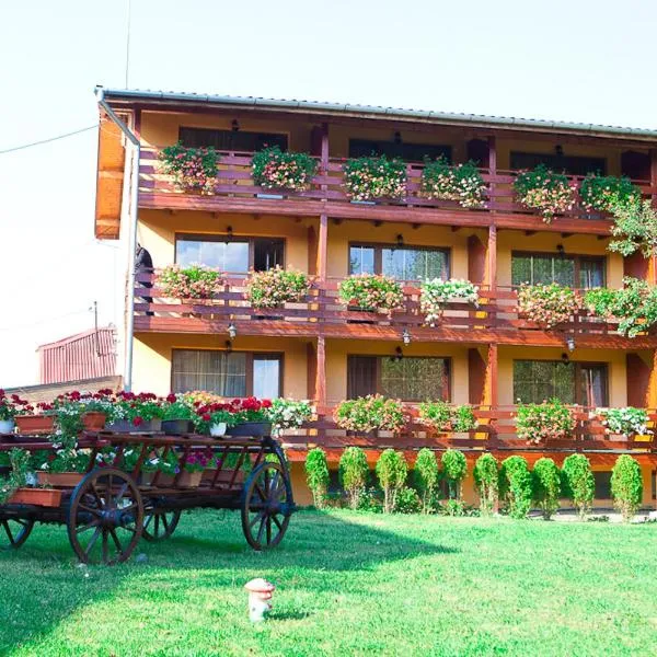 Casa Bazna，位于Tîrnăveni的酒店