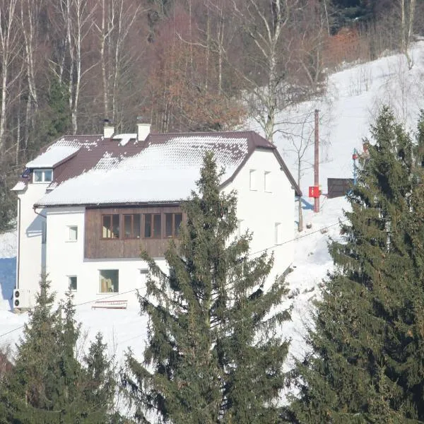 Horská chata Hubertus，位于阿尔布勒茨缇策维基泽尔斯基弛霍拉次的酒店