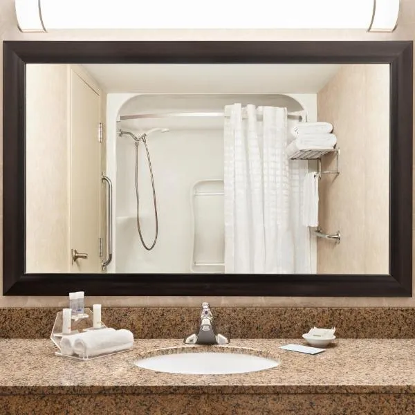 Royal Hotel West Edmonton, Trademark Collection by Wyndham，位于埃德蒙顿的酒店