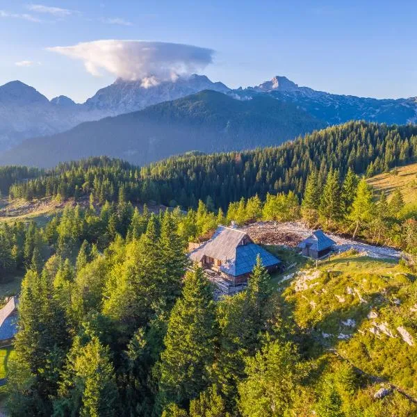Chalet Gorenjka - Velika planina，位于Stahovica的酒店