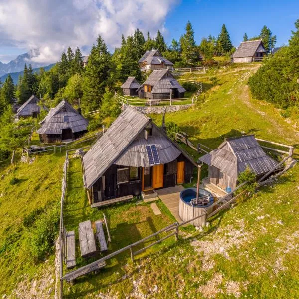 Chalet Zlatica Velika Planina，位于Stahovica的酒店
