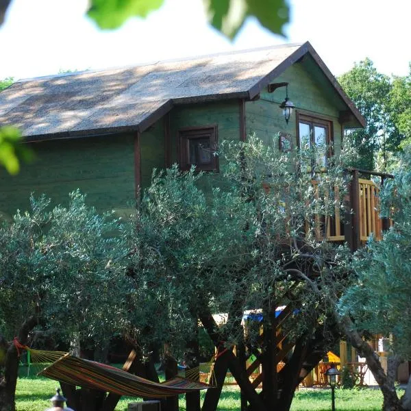 Palazzo Conforti Tree House Resort，位于Marano Marchesato的酒店
