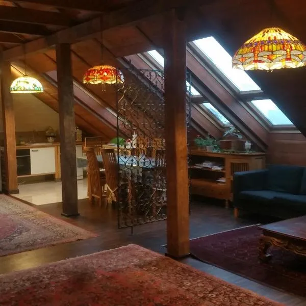 A loft apartment in warsaw，位于米考洛维斯的酒店