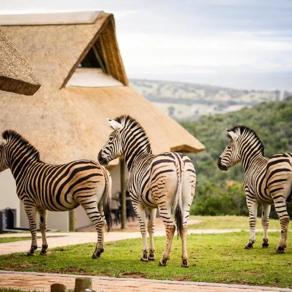 Jbay Zebra Lodge，位于Loerie的酒店