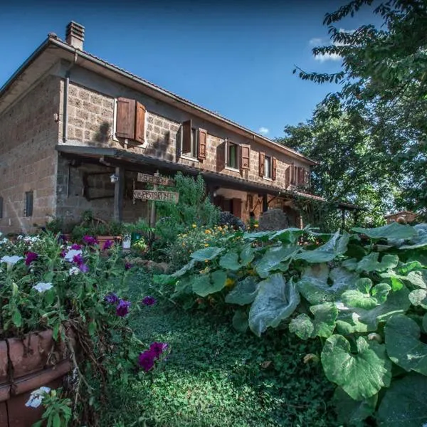 Bio Agriturismo Aia del Tufo，位于Montevitozzo的酒店