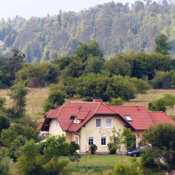 特瑞内住宿加早餐旅馆，位于Knežak的酒店