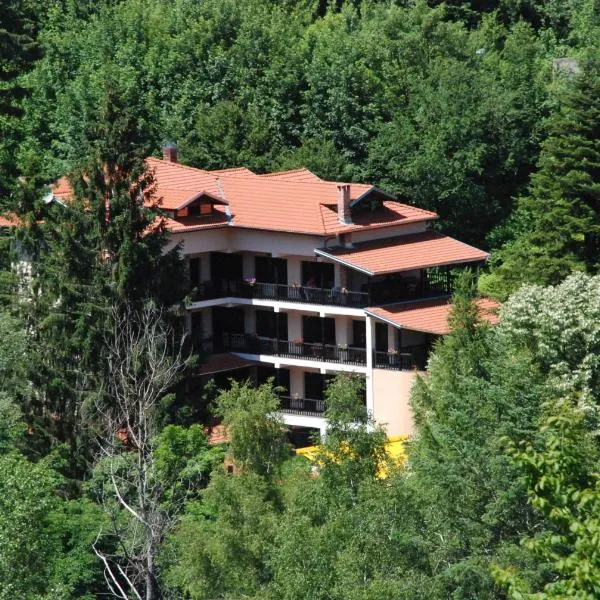 Family Hotel Ilinden，位于希普科沃的酒店