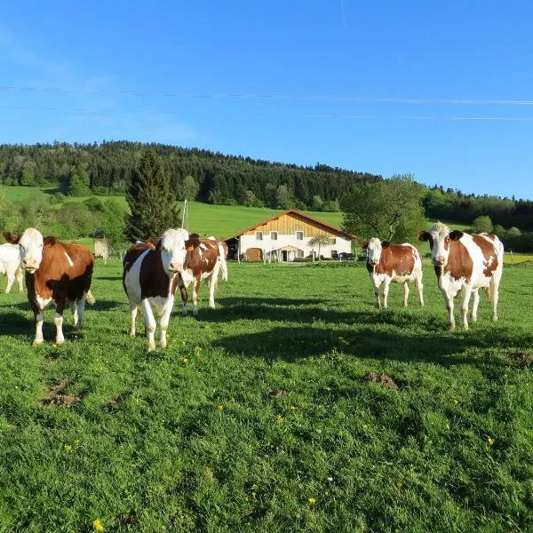 La ferme du bonheur，位于Belleherbe的酒店