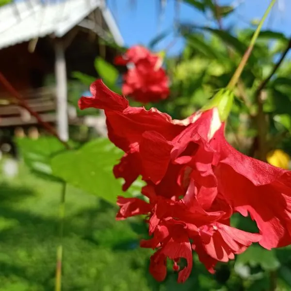 Yawning Fields，位于拜县的酒店