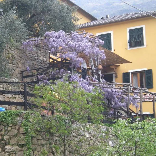 Agriturismo Il Sogno，位于Temossi的酒店