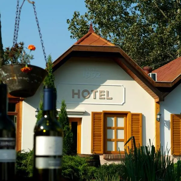 Hotel Vineyard Inn - Szőlőskert，位于Surd的酒店