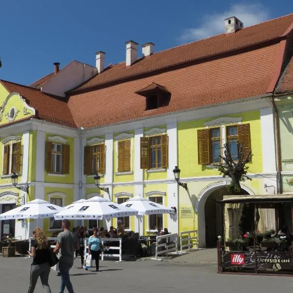 Ferdinand Apartments，位于Tîrnăveni的酒店