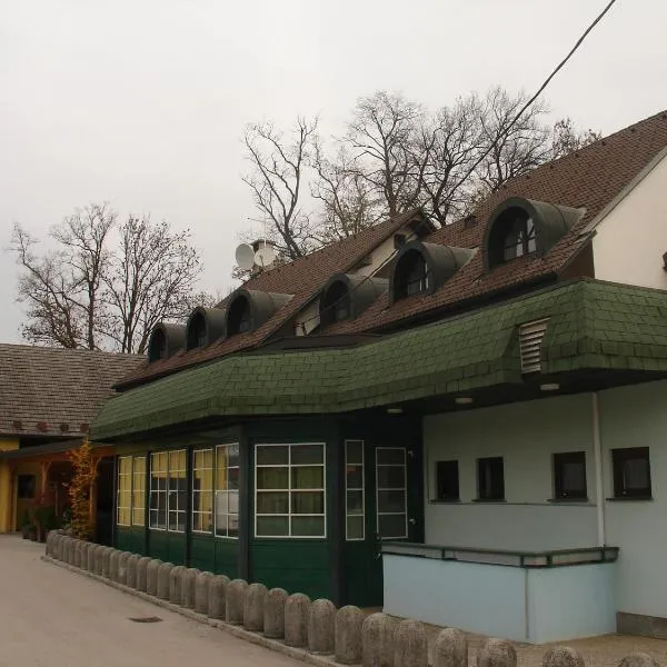 雅内耶兹民宿，位于Loka pri Mengšu的酒店