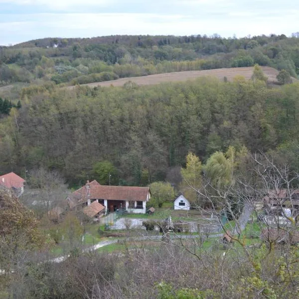 Guest House Sunčano Selo，位于Bakovčica的酒店