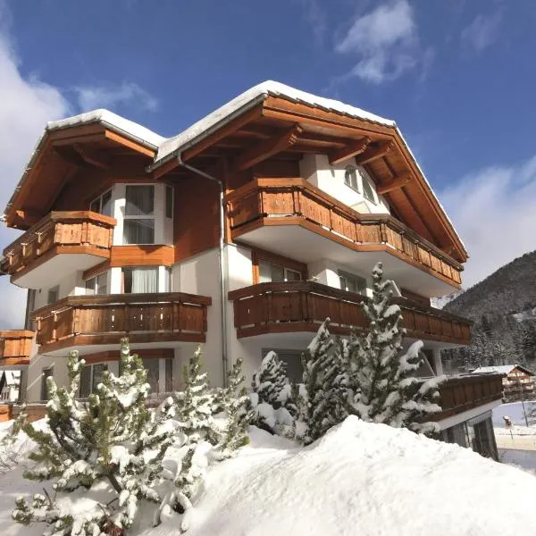 费霍夫酒店，位于萨斯费的酒店