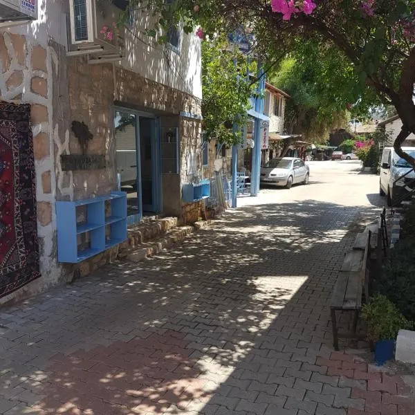 Boynuz Ağacı pansiyon，位于Kaleucagız的酒店