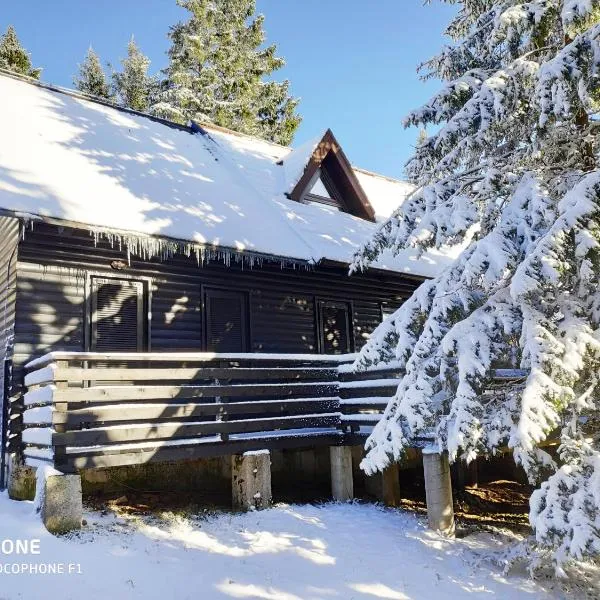 Tree Top Rogla Apartment，位于Mala Mislinja的酒店