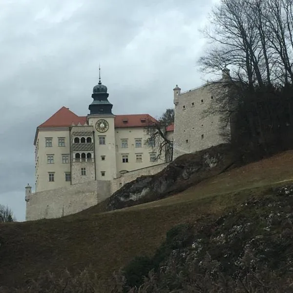 Herkules Pokoje Noclegi Pieskowa Skała Ojców，位于Sułoszowa的酒店