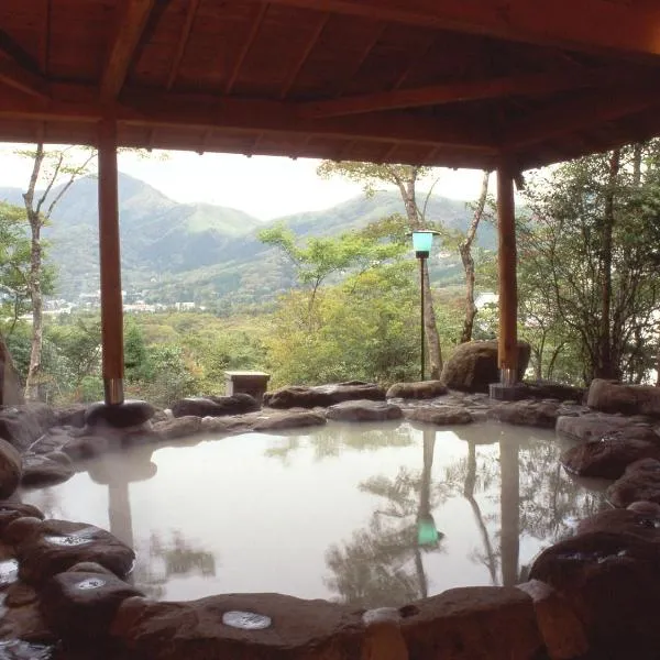 森克约罗日式旅馆，位于箱根的酒店