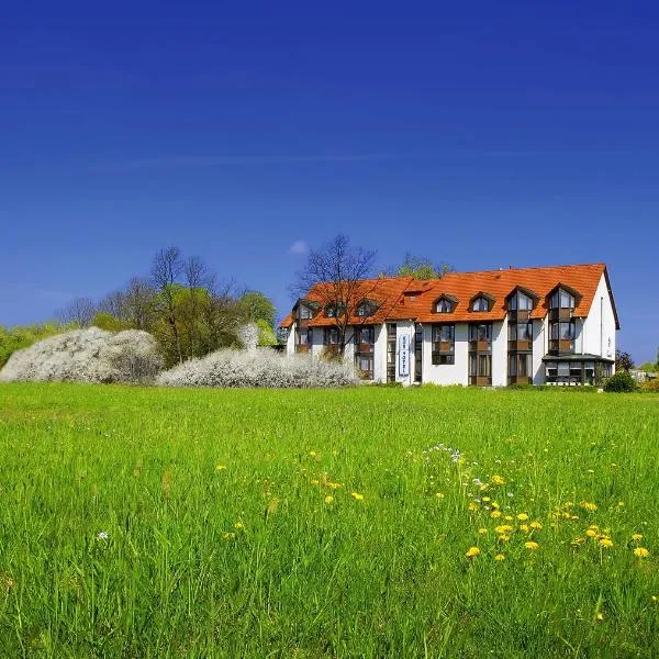 Kurhotel Bad Schmiedeberg，位于巴特施米德贝格的酒店