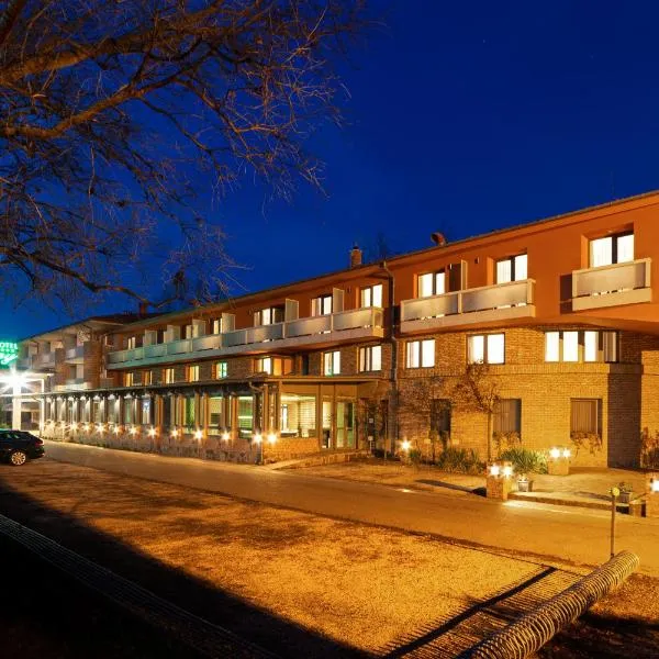 帕格尼康体中心酒店，位于Sóstófürdő的酒店
