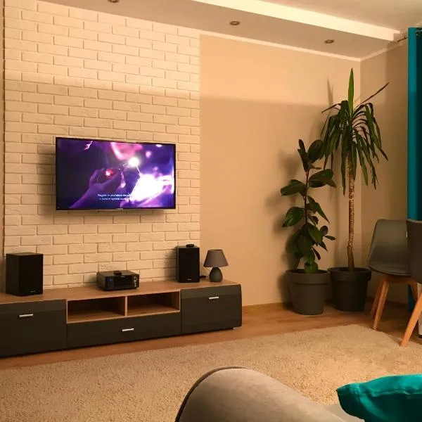 Apartament Brzoza Bydgoska，位于布若扎的酒店