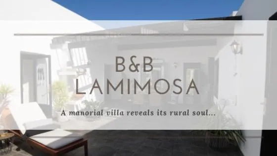 B&B La Mimosa，位于特吉塞的酒店