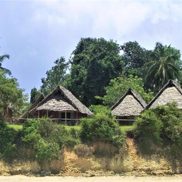 Jabar Lodge，位于Mangapwani的酒店