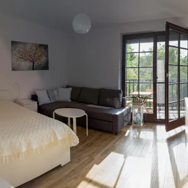 Apartament Kameralny，位于卡齐米日-多尔尼的酒店