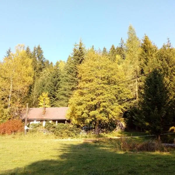 Berghütte Perschlhof，位于Murau的酒店