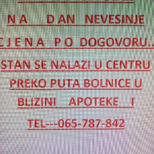 Nevesinje centar Apartman，位于Nevesinje的酒店