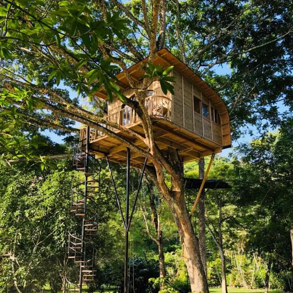 Casa del Árbol Colombia，位于Quebradanegra的酒店