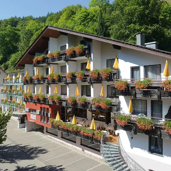 弗莱尔酒店索内霍夫酒店，位于Schönmünzach的酒店
