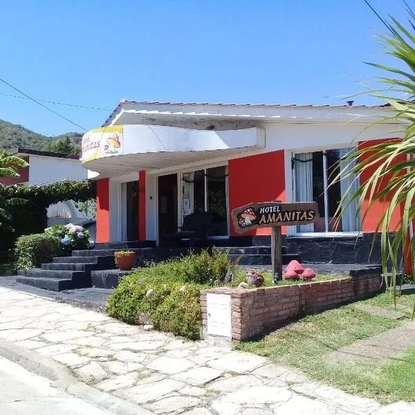Amanitas Hotel，位于维拉卡洛斯帕兹的酒店