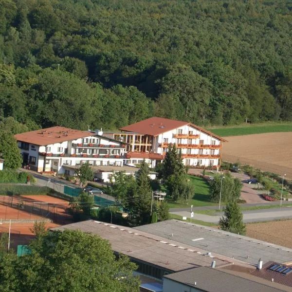 Villa Waldeck，位于Hilsbach的酒店