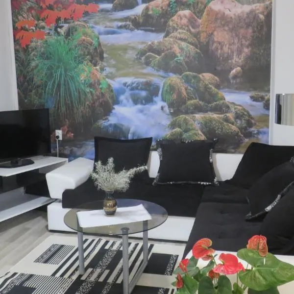 Guest House Pavlovic，位于索科矿泉村的酒店