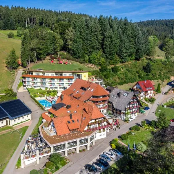 阿德勒自然公园酒店，位于Kirnbach的酒店