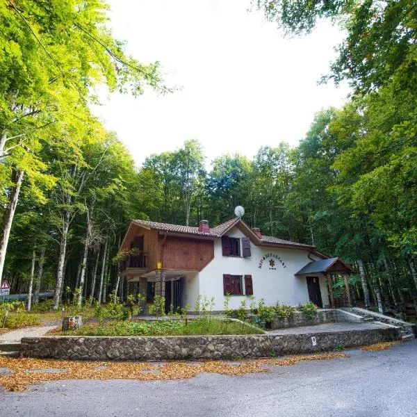 Chalet Il Cristallo-Monte Amiata，位于皮亚诺堡的酒店