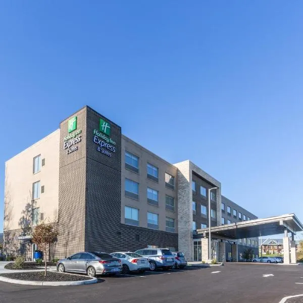 Holiday Inn Express & Suites - Florence - Cincinnati Airport, an IHG Hotel，位于弗洛伦斯的酒店