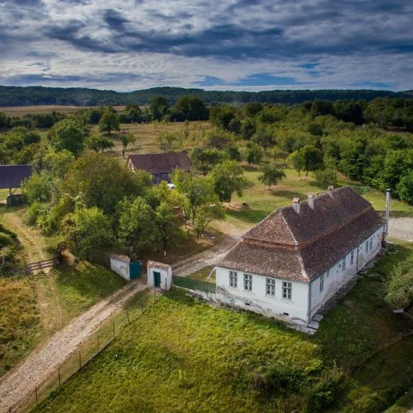 Kinderuni Bekokten，位于Bărcuţ的酒店